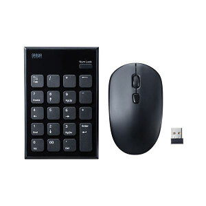 �T�����T�v���C �É����C�����X�e���L�[�}�E�X�Z�b�g NT-WL23SETBK