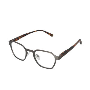 [�_���g��] YGF145 �V�ዾ �傫�ȃ����Y ���[�f�B���O READING GLASSES ���[�f�B���O�O���X ���� ��� ���[�y Reading Glasses �V�� �h�V�̓�... �J���[:�K�����^ �T�C�Y:15