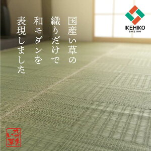 �����Y ���� ��~�� �J�[�y�b�g �i�q�� �R�ۖh�L �]�ˊ�4.5��(��261×261cm�j