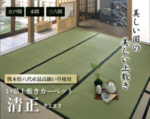 �����Y ���� ��~�� �J�[�y�b�g ���ȐD �w�����x �{��3��(��191×286cm�j �F�{������Y�C���g�p