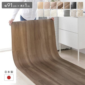 NbVtA 91cm×1m X`[`[N { Y h  ͂ R hJr h h ؖڕ t[JbgV[g ȒPݒu NbV}bg tA}bg CeAG