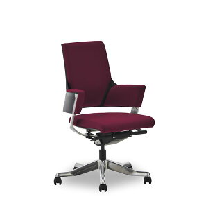 ItBX`FA 65.5cm ~hobN o[KfB LX^[t It DELPHIII t@ubN CeAƋ giysz