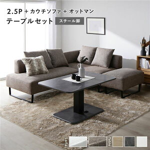 R[i[ JE`\t@ e[uZbg 2.5l|{JE`\t@{Ibg}F~bNXuE X`[r e[uFXg[O[ 嗝Β  [e[u 􂦂 Jo[ r