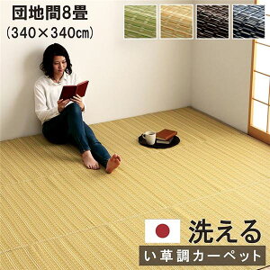 洗える カーペット ラグ マット 団地間8畳 約340×340cm ベージュ 日本製 国産 除菌スプレー対応 丈夫 ござ フロアマット 敷物 アウトドア ペット【代引不可】