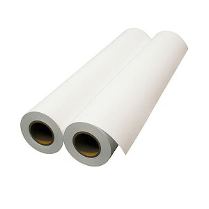 �G�v�\�� ���ʎ����[��(����)24�C���`���[�� 610mm×50m 2�C���`���� EPPP6424 1��(2�{)