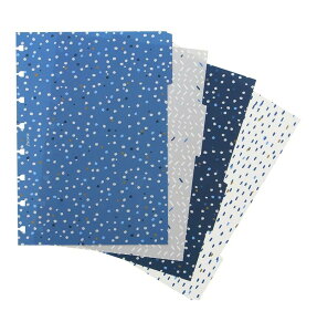 t@Ct@bNX lߑւ\m[gubN tB d؂ Filofax Indigo A5 fXNTCY Notebook CfBS 142126