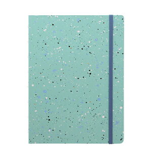 t@Ct@bNX lߑւ\m[gubN A5TCY GNXvbV Filofax Expressions Notebook