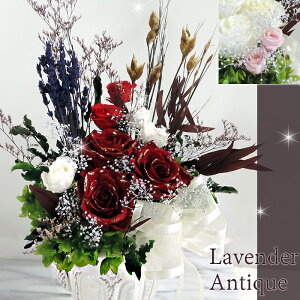 vU[uht[ o փoƃ~XeBu[x_[AeB[NԊ ̂GKgEvU[uhAW lCOqbg