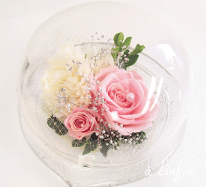 yvU[uht[ KXh[z _˃eCXg ȏ̂悤ȃKXh[ sNKN&J[l[V@