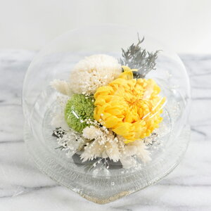 ye uU[ht[z e̘ah[OXB{eƖ̎feI[EvU[uht[IOɂ߂̃KXh[AW 