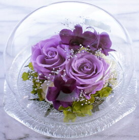 【プリザーブドフラワー】紫の薔薇・パープルメモリードーム・ガラスドーム　濃淡紫のレイヤー　ほこりが付かない ギフト 誕生日　記念日 サプライズ　送料無料
