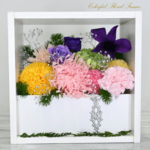 Jtt[t[@P[X@10ւt[Ɂ@AWi@vU@ ₵@V@]@Mtg@j@ItBX@L