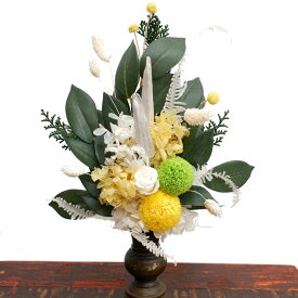 楽天市場 花 オクラの種の通販