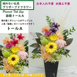 yr̃g[Azy vU[uht[ z sv  [̃vU]^ w̍؃o[W 炫䋟  ft@ Iׂ镧 邢