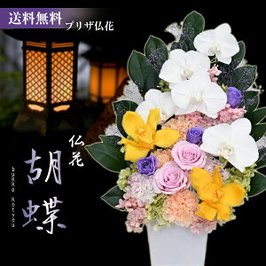 yӒ uU[ht[z @A݂ɍ؂ԁy-ӒzvUցwӒxƃsN̑KÑvU[uht[̂ԁ