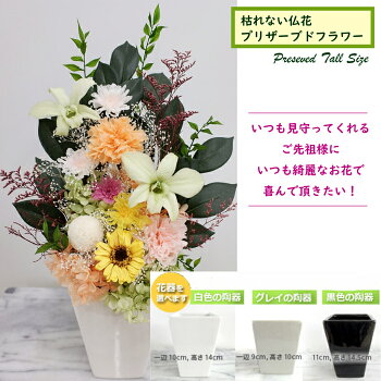 楽天市場 詠歌トールc 仏花 プリザーブドフラワー 大 お手入れ不要 お供え花 詠歌 トール 光のプリザ仏花 大型 背の高い豪華バージョン 咲き続ける御供え花 送料無料 大輪デンドロビューム 選べる仏花 明るいお仏壇花アレンジメント 遺影の傍に 高さ45cm 花