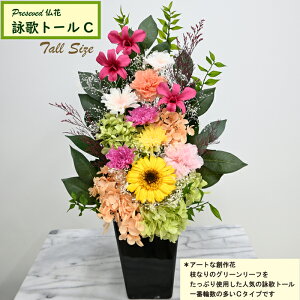 yr̃g[Czy vU[uht[ z sv ԁyr g[z[̃vU]^ w̍؃o[W 炫䋟  ft@ Iׂ