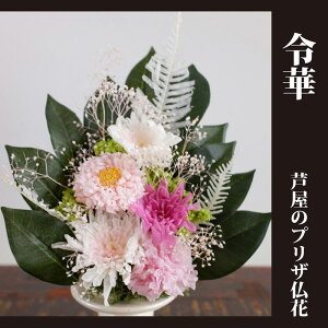 sv̂ԁy߉؁zvU[uht[ D͋C̖邢vU  Mtg  @ l\  ފ   ԑ hV̓  ސE   