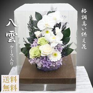 yvU[uht[ ԁzy_EP[Xtz sv̂[̃vU[uht[]Ӓ 炫䋟  ւŊivU@փVrWE