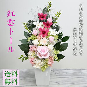 yvU[uht[ g_g[z sv̂ԁyg_g[z[̃vU] 炫䋟  ft@ 邢d ̕ AWgye 