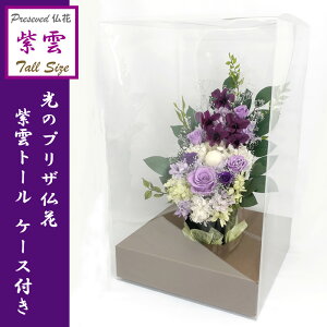  vU[@] svy_g[P[Xtzi[̃vU] 炫䋟 ft@ a̗ p[v vU[uht[AWg