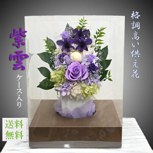 yvU[uht[ ezy_P[Xz sv̂[̃vU] 炫䋟  ft@3 a̗ p[v 邢d ̕ A