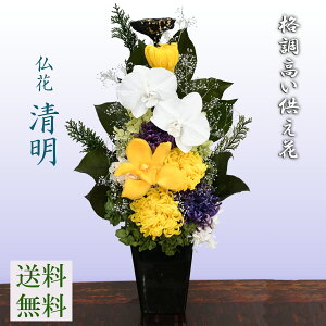 ihyzvU[uht[ sv̂ԁ@[vU] 炫䋟  ֌Ӓ@փVrW[@֘ae@֗me@t@