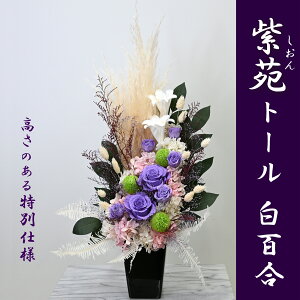 yg[Sz [@]63cmg[̍؃AWgyg[TCYzvUցwKNxƔSƊ󏭂ȃvU[uht[ԁ(LTCY) C