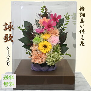 yvU[uht[ zsv̂ԁyr̃P[Xz[̃vU[uht[]炫䋟 BEft@ Ƃˋe vU 邢