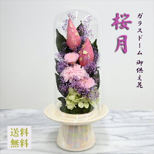 yKXh[vU ezyiÂjz sv[] 炫䋟  t֘@Ԃ̂ڂ zRtȂd KXP[X A