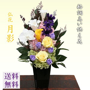 ihyez@vU[uht[ sv̂ԁ@[vU] 炫䋟  S@Ӓ@Eft@@AWgye 