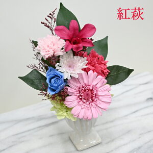 ȃvUygE]˔E̋{zڂ݃o@J[l[V@Ƃˋe@Eft@@bNX@a@j@JMtgyz