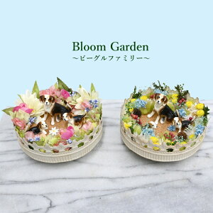 ԂɈ͂܂ꂽRt@~[yBloom GardenzbNX@a@j@Mtg@D@hbOyz