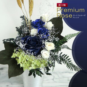 yփoz Z̒KNƃItzCgu[̃AWAV[vȃtH|bg yz