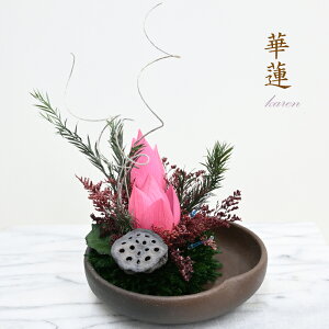 yؘ@ijza͋̕C@Ԙ@Q@@̎@a̐SƉ؂₩Zi@j Mtg ց@yz