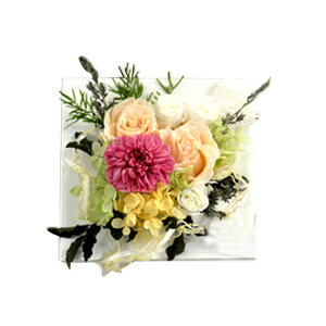 yӒ vU[uhz DȃvUyւ̌Ӓ,[`Xz̃t[AWM@̂܂܏yNAP[XzIׂ錃AvU [lɊӂ̑]@G