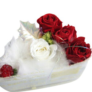 y Xgx[ AWzvU[uh[ỸXgx[V[gEP[L ȃpeBVGP[LAW[A]