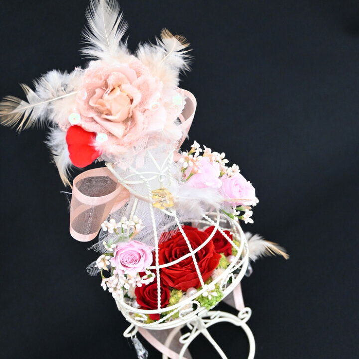 楽天市場】【トルソー ドレス】 【お洒落なインテリア】素敵な女性に  