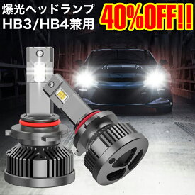 LED ヘッドライト H4 車検対応 ワーニングキャンセラー内蔵 爆光 20000lm 大型車対応 トラック対応 EV車対応 ハイブリッド車対応 外車対応 BLUESEATEC PL21A2DA06-H4 瞬間点灯 静音 冷却ファン内蔵 LEDバルブ