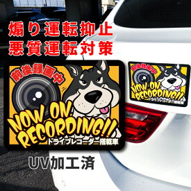 ドライブレコーダー ステッカー マグネット 犬 柴犬 黒 黒柴 ドラレコ かわいい カッコイイ おしゃれ アメリカン 目立つ 個性的 録画中 あおり運転防止 抑止 ヨコ型 後方録画 オリジナル UV加工