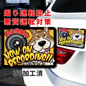 ドライブレコーダー ステッカー マグネット 犬 柴犬 茶 赤柴 ドラレコ かわいい カッコイイ おしゃれ アメリカン 目立つ 個性的 録画中 あおり運転防止 抑止 ヨコ型 後方録画 オリジナル UV加工