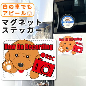 hCuR[_[ XebJ[ }Olbg  gCv[h   ڗ Vv UVH ^撆 p j[N ԂȂ IWi ^]}~ 댯^]}~ tȒP