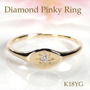 K18YG _Ch sL[ Oy0.01ctzyzyiۏ؏zS[h 18 K18 w _C t@bVO WG[  fB[X _CO Vv ꗱ 1 