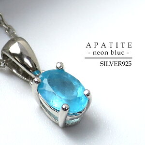 Ύ VR Ap^Cg ꗱlbNX ӊD VR   F u[ lIu[ O[ Vo[925 lbNX Vo[lbNX  ؚ ꂢ i ޏ  fB[