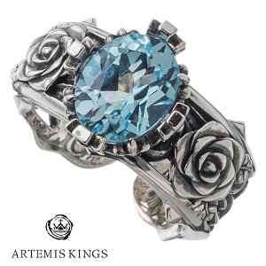 Ae~XLOX [Y O u[gp[Y 13`23 t[TCY w Vo[O Y Artemis Kings Ae~XLOX YO Vo[ANZ ANZT[ o u