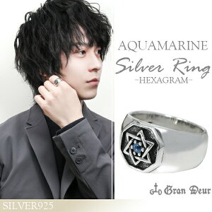 GRAN DEUR wLTO Z䊐 T^}AANA} Vo[O 17`21 w O V[v Vo[925 YO ANA} Z䊐N[ȃO Vv 