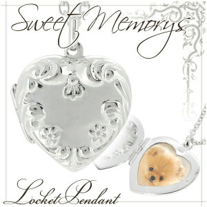 n[g t@V[ t[ Vo[ Pbg lbNX Pbgy_g PbglbNX Vo[ANZT[ Pbgy_g Vo[y_g fB[X CjV 