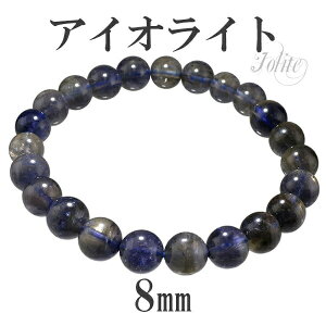 ACICg uXbg 8mm 16cm fB[XSTCY 3 a VR p[Xg[ uX ACICg uXbg uX VR p[Xg[ EH[^[Tt@CA ACIC