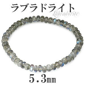 5.3mm 17.5cm ���u���h���C�g �u���X���b�g �����YM�A���f�B�[�XL�T�C�Y �V�R�� �p���[�X�g�[�� �����Y �V�R�΃A�N�Z�T���[ �V�R�΃u���X���b�g �p���[�X�g�[�� ���u���h���C�g �u���X���b�g 