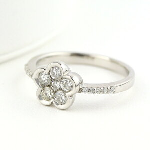 PT900 _Ch t[ v`i O w  VR _C 嗱 pF i ؂₩ 킢 fB[XANZT[ Women's Jewelry Ladies 蕨 _ChO v`iO 